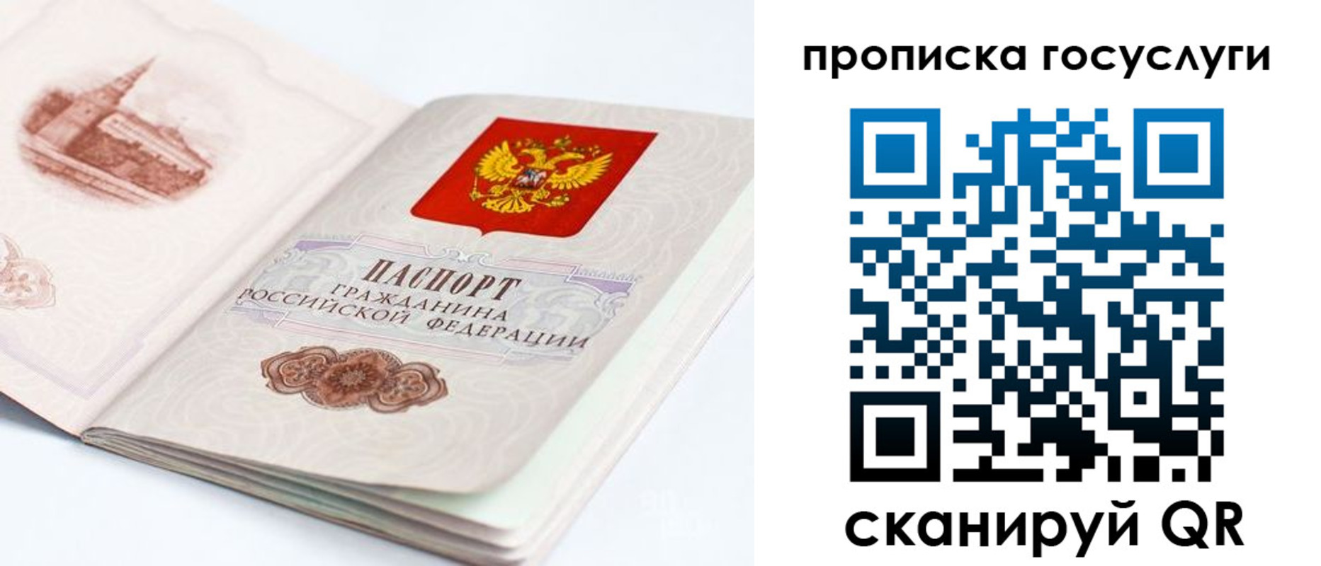 временная регистрация в Курской области